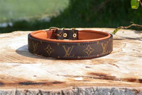 lv collars for dogs|louis vuitton dog collar large.